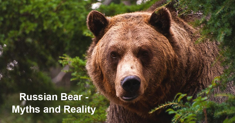  Russian Bear - Myths and Reality