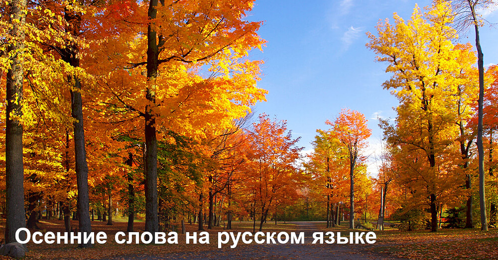 Осенние слова на русском языке 